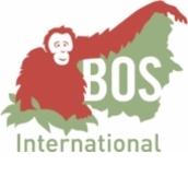 Borneo Orangutan Survival International Borneo Orangutan Survival International