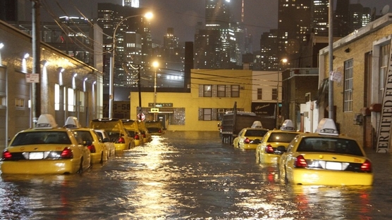 NYC Mayoral Candidates: Show Us Your Climate Plan! NYC Mayoral Candidates: Show Us Your Climate Plan!