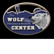 WOLF EDUCATION AND RESEARCH CENTER WOLF EDUCATION AND RESEARCH CENTER