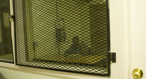Support Juvenile Justice Reform Support Juvenile Justice Reform
