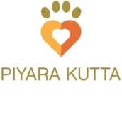 Piyara Kutta Piyara Kutta