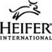 Heifer International Heifer International