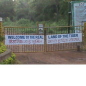 Tadoba Wilds - Animal Orphanage And Rescue Center. Tadoba Wilds - Animal Orphanage And Rescue Center.