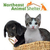 Northeast Animal Shelter Northeast Animal Shelter