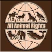 All Animal Rights All Animal Rights