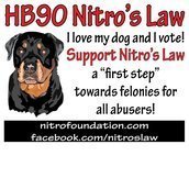 Nitro Foundation Nitro Foundation
