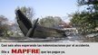 Indemnicen ya a las víctimas del accidente de Spanair, Seguro que tú también recuerdas el accidente del vuelo de Spanair que se estrelló cuando intentaba despegar del aeropuerto de Barajas. Murieron 154 personas, sobrevivimos 18; yo soy uno de esos afortunados. MAPFRE: Indemnicen ya a las víctimas del accidente de Spanair