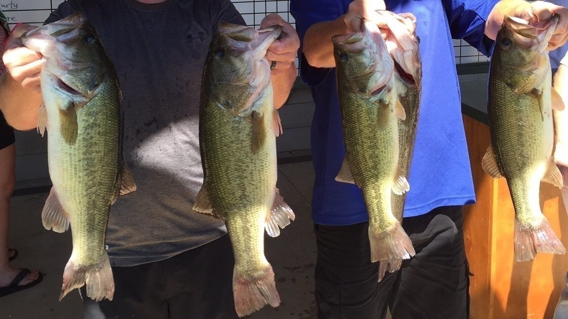 Petition Arkansas Game And Fish Commission Funds And Concentration On Bass Fisheries In 