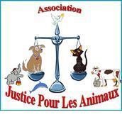 Association Justice Pour Les Animaux Association Justice Pour Les Animaux