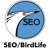 SEO BirdLife SEO BirdLife