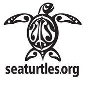 SeaTurtles.org SeaTurtles.org