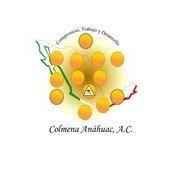 Colmena Anahuac A. C. Colmena Anahuac A. C.
