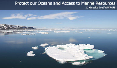 Protect our Oceans and Marine Resources Protect our Oceans and Marine Resources