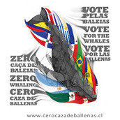 Cero Caza de Ballenas Cero Caza de Ballenas