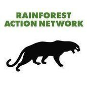 Rainforest Action Network Rainforest Action Network