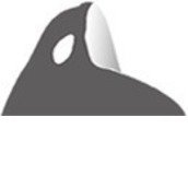 Save the Orcas Save the Orcas
