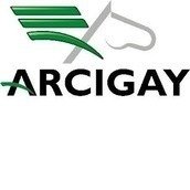 ARCIGAY - Associazione LGBT Italiana ARCIGAY - Associazione LGBT Italiana