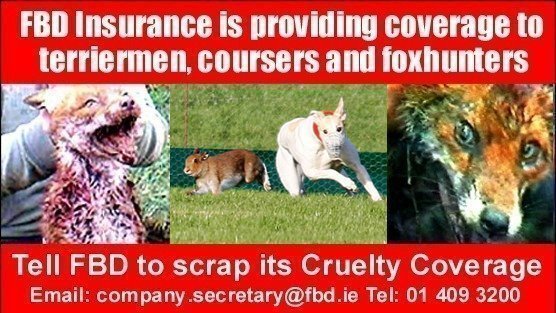 Scrap your animal cruelty coverage Scrap your animal cruelty coverage