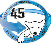 Freccia 45 Freccia 45