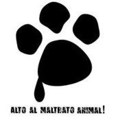 Protección Animal Protección Animal