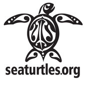 Chris Pincetich, SeaTurtles.org Chris Pincetich, SeaTurtles.org