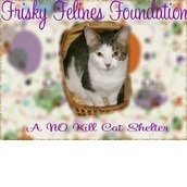 Frisky Felines Foundation Frisky Felines Foundation