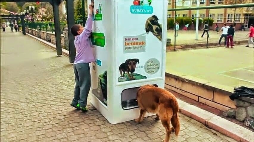 DISPENSADORES DE COMIDA PARA PERROS dispensadores de comida para perros: