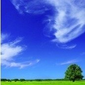 an organization supporting clean air an organization supporting clean air
