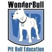 WonderBull: Pit Bull Education WonderBull: Pit Bull Education