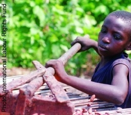 Ask Hershey to End Child Slavery in Cocoa Production and Go Fair Trade! Ask Hershey to End Child Slavery in Cocoa Production and Go Fair Trade!