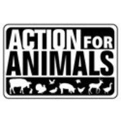 Action for Animals Action for Animals