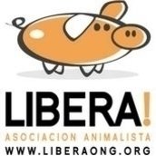 Asociación Animalista Libera Argentina Asociación Animalista Libera Argentina