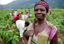 Stop Climate Change and Improve the Lives of the World's Poorest Stop Climate Change and Improve the Lives of the World's Poorest