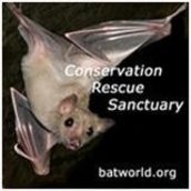Bat World Sanctuary Bat World Sanctuary