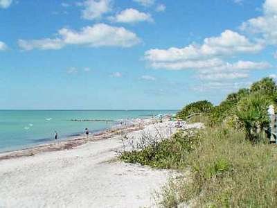 What that Nude in caspersen beach florida share your Nude in caspersen beach florida suggest you