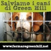 Coordinamento Fermare Green Hill Coordinamento Fermare Green Hill