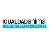 Igualdad Animal Igualdad Animal