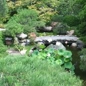 Save the Hannah Carter Japanese Garden Save the Hannah Carter Japanese Garden