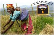Help promote the Roadmap to End Global Hunger! Help promote the Roadmap to End Global Hunger!