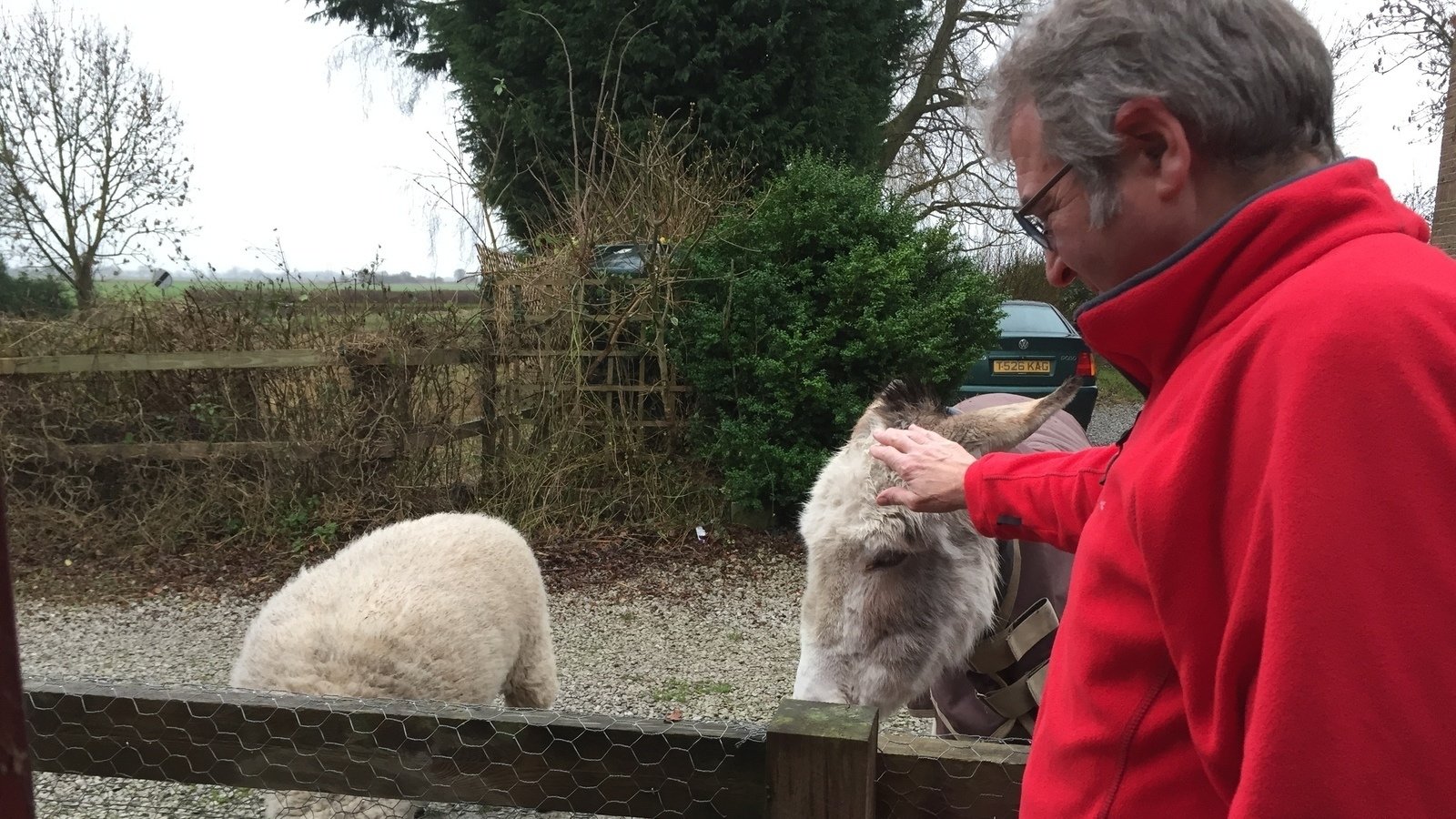 Petition · Stopping the inhuman "Halal" slaughter of meat in the United