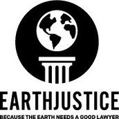 Marjorie Mulhall, with Earthjustice Marjorie Mulhall, with Earthjustice
