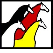 TRIBAL WISDOM FOUNDATION TRIBAL WISDOM FOUNDATION