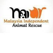 Malaysia Independent Animal Rescue Malaysia Independent Animal Rescue
