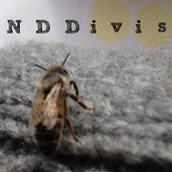 Neighbors Developing Divisadero Neighbors Developing Divisadero