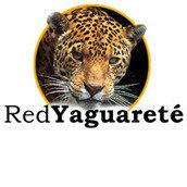 Red Yaguareté Red Yaguareté