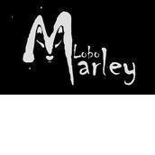 Lobo Marley. Ciudadanos por el lobo y el mundo rural Lobo Marley. Ciudadanos por el lobo y el mundo rural