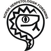 Norsk Herpetologisk Forening / Norwegian Herpetological Association Norsk Herpetologisk Forening / Norwegian Herpetological Association