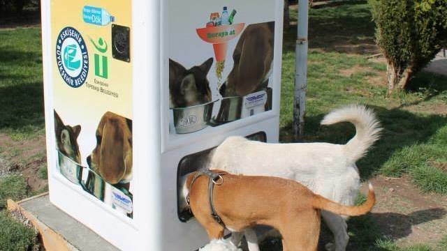 DISPENSADORES DE COMIDA PARA PERROS dispensadores de comida para perros: