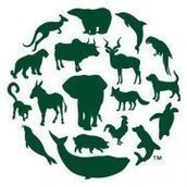 Humane Society International (Australia) Humane Society International (Australia)