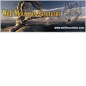 WOLF MOUNTAIN SANCTUARY WOLF MOUNTAIN SANCTUARY